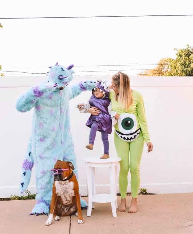 Monsters Inc Family Costumes