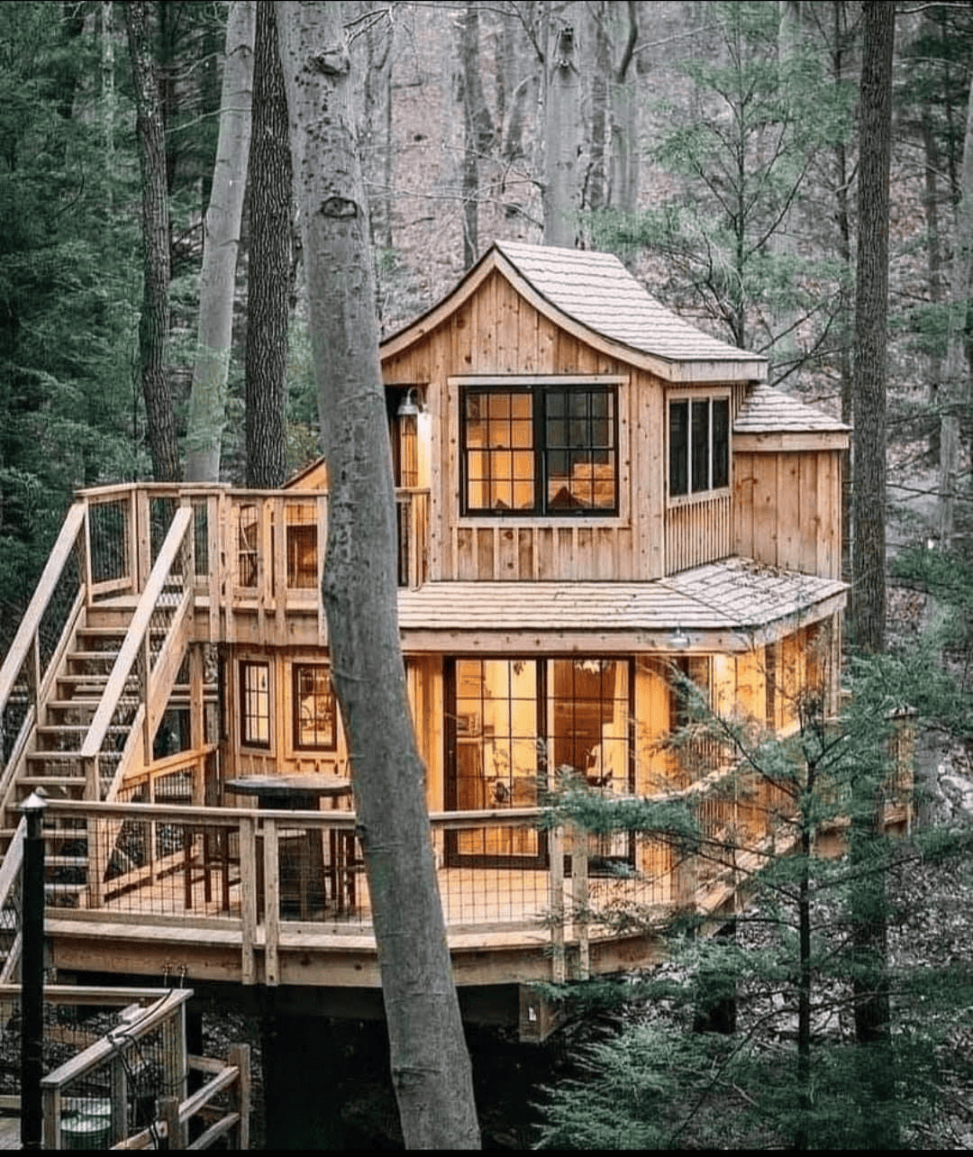 A Treetop Cabin Shining Beneath the Stars