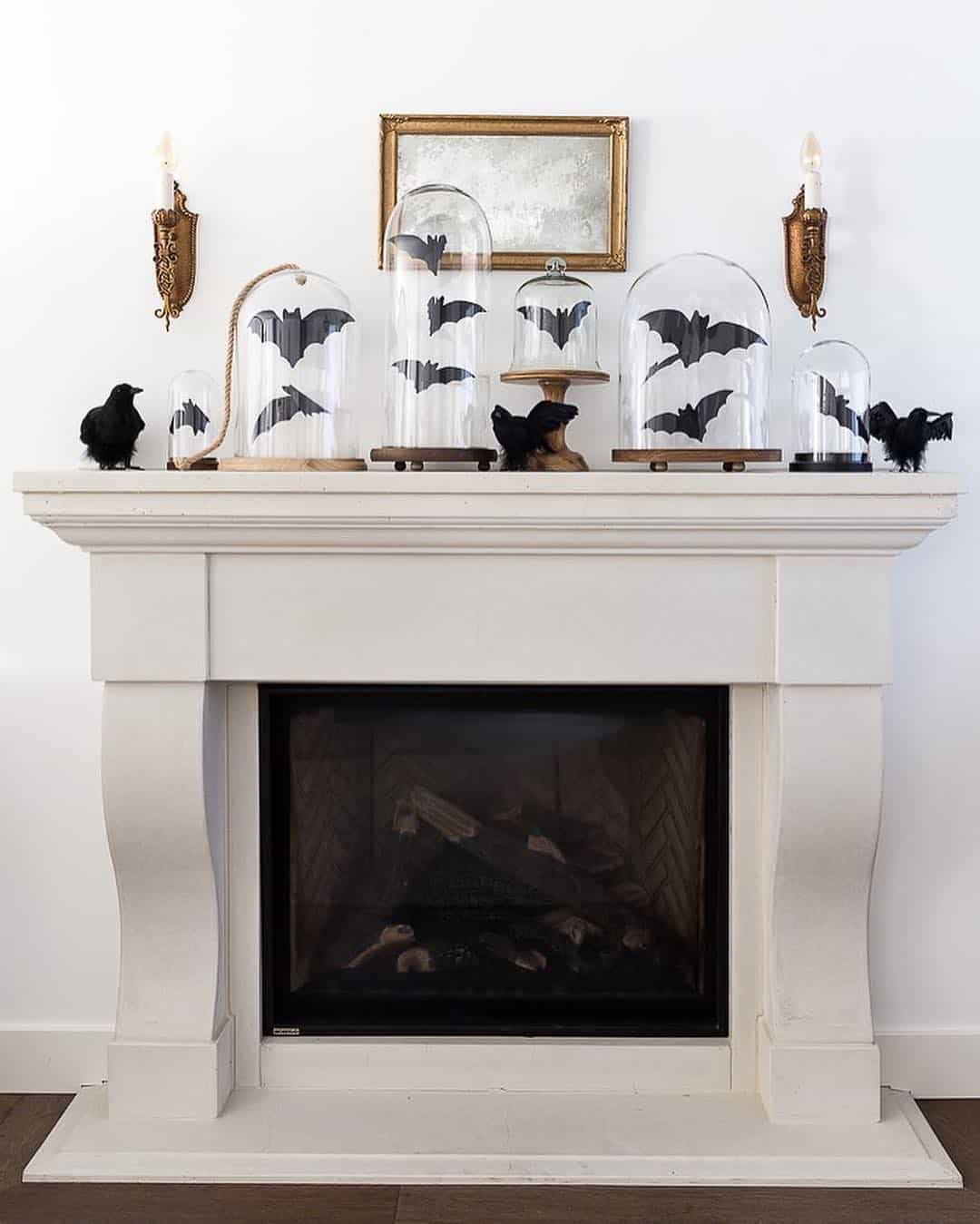 Bat Display Under Glass Cloches