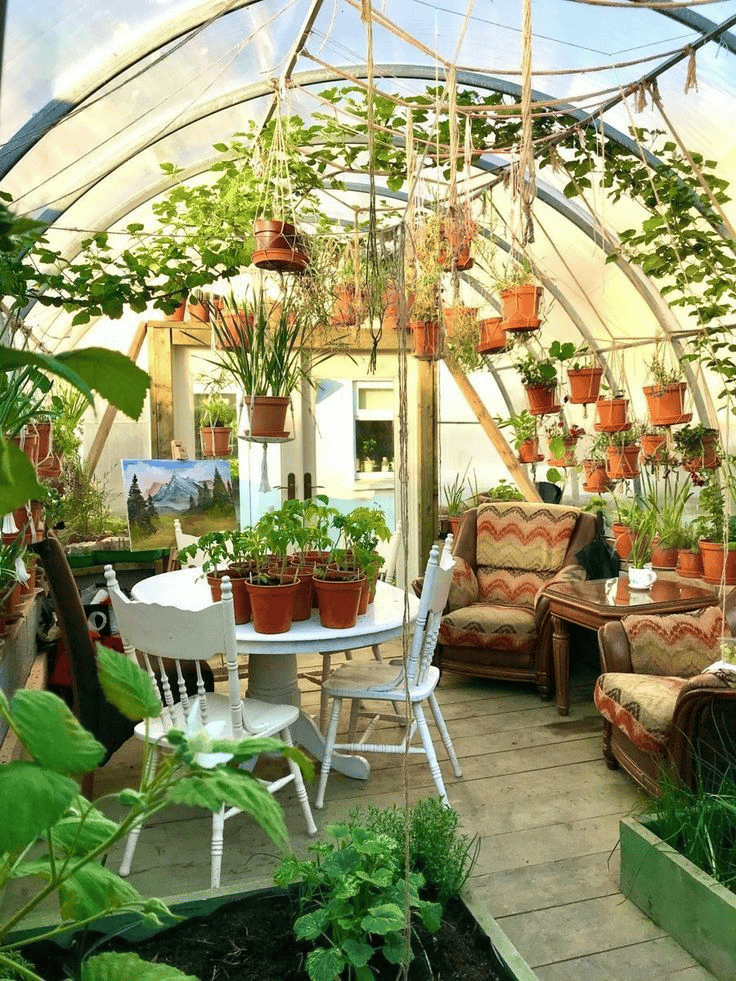 Comfortable Seating and Greenery Create a Peaceful Retreat