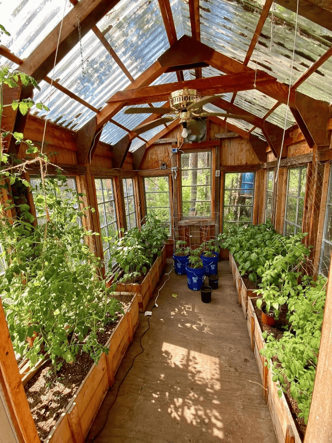 Generous Space Creates a Mini Indoor Garden