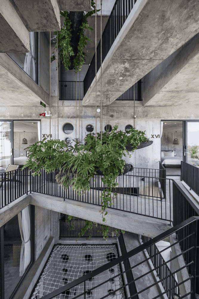 Indoor Hanging Plants Freshen Spaces and Improve Air Quality