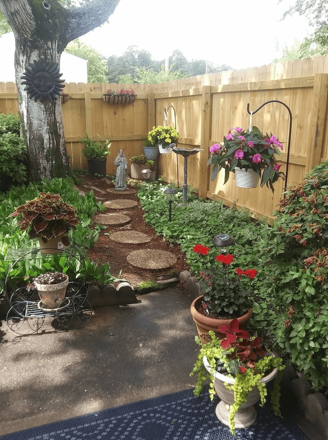 Plant-Lined Pathway for Exploring the Backyard