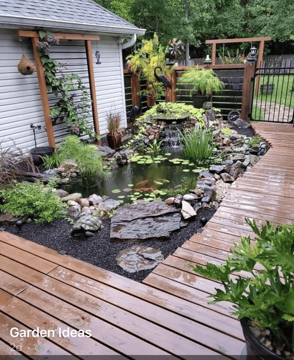 Tranquil Fish Pond Surrounded by Plants